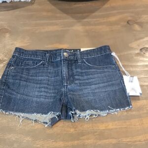 Target Denim Jean Shorts with Frayed Hem